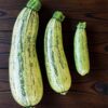 three zucchini genovese sitting on dark wood