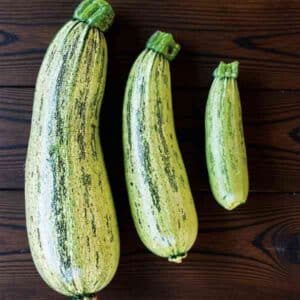 three zucchini genovese sitting on dark wood