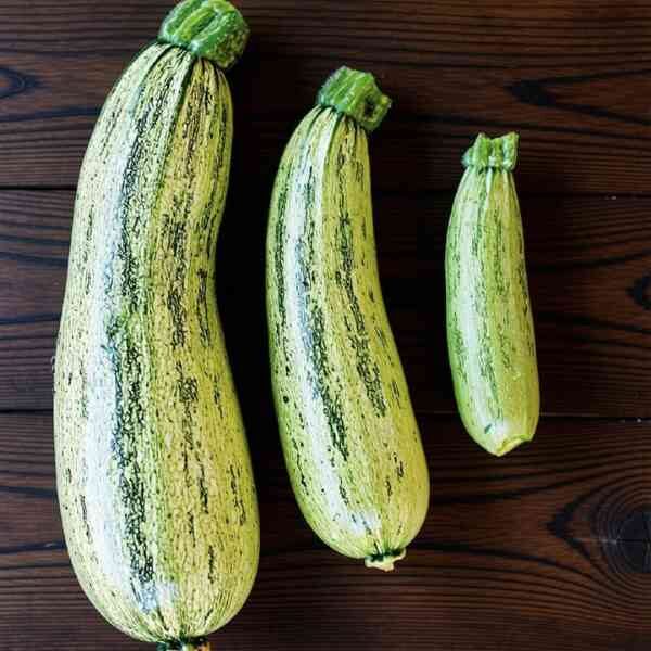 zucchini-genovese-seeds three zucchini genovese sitting on dark wood