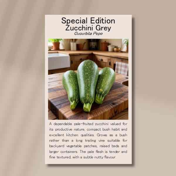 zucchini-grey-front front side of the grey zucchini seed packet