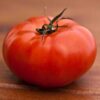close up of one tomato college challenger