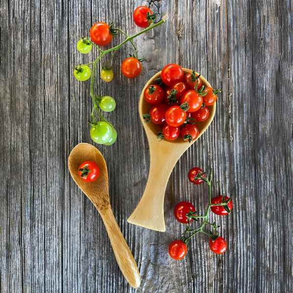 tomato-red-currant-seeds-2 tomato-red-currant-seeds-2