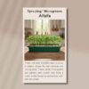 alfalfa-front