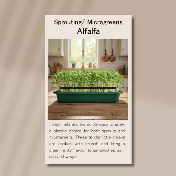 alfalfa-front alfalfa-front