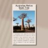front side of seed packet for the baob tree